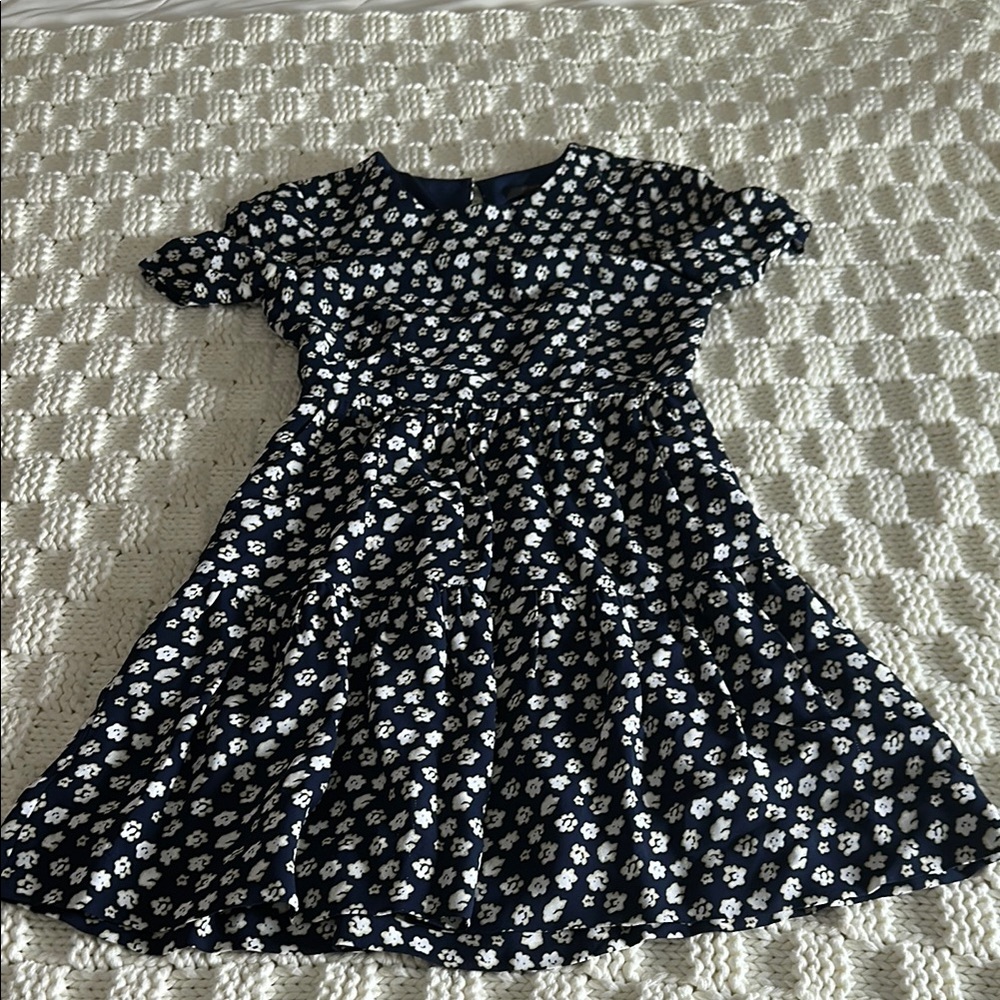 J. Crew Dress